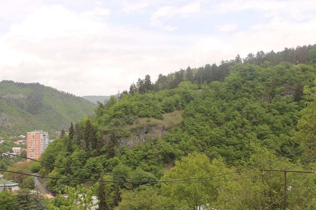 Anastasia Guesthouse Borjomi Bagian luar foto